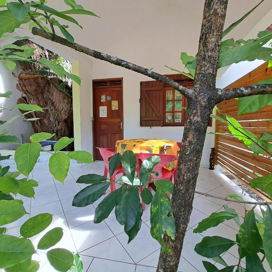 Residence Les Manguiers Pointe-Noire Zewnętrze zdjęcie