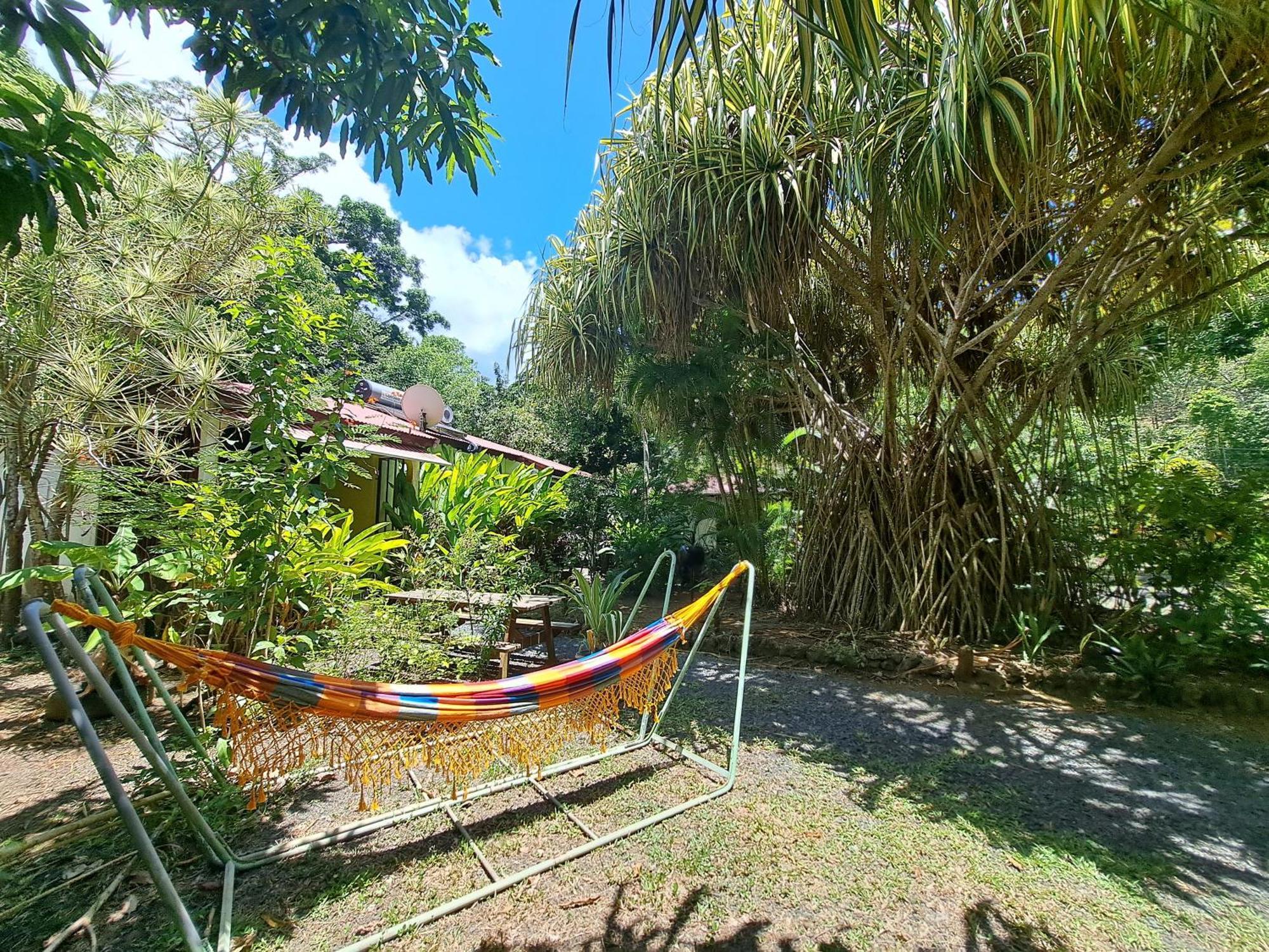 Residence Les Manguiers Pointe-Noire Zewnętrze zdjęcie