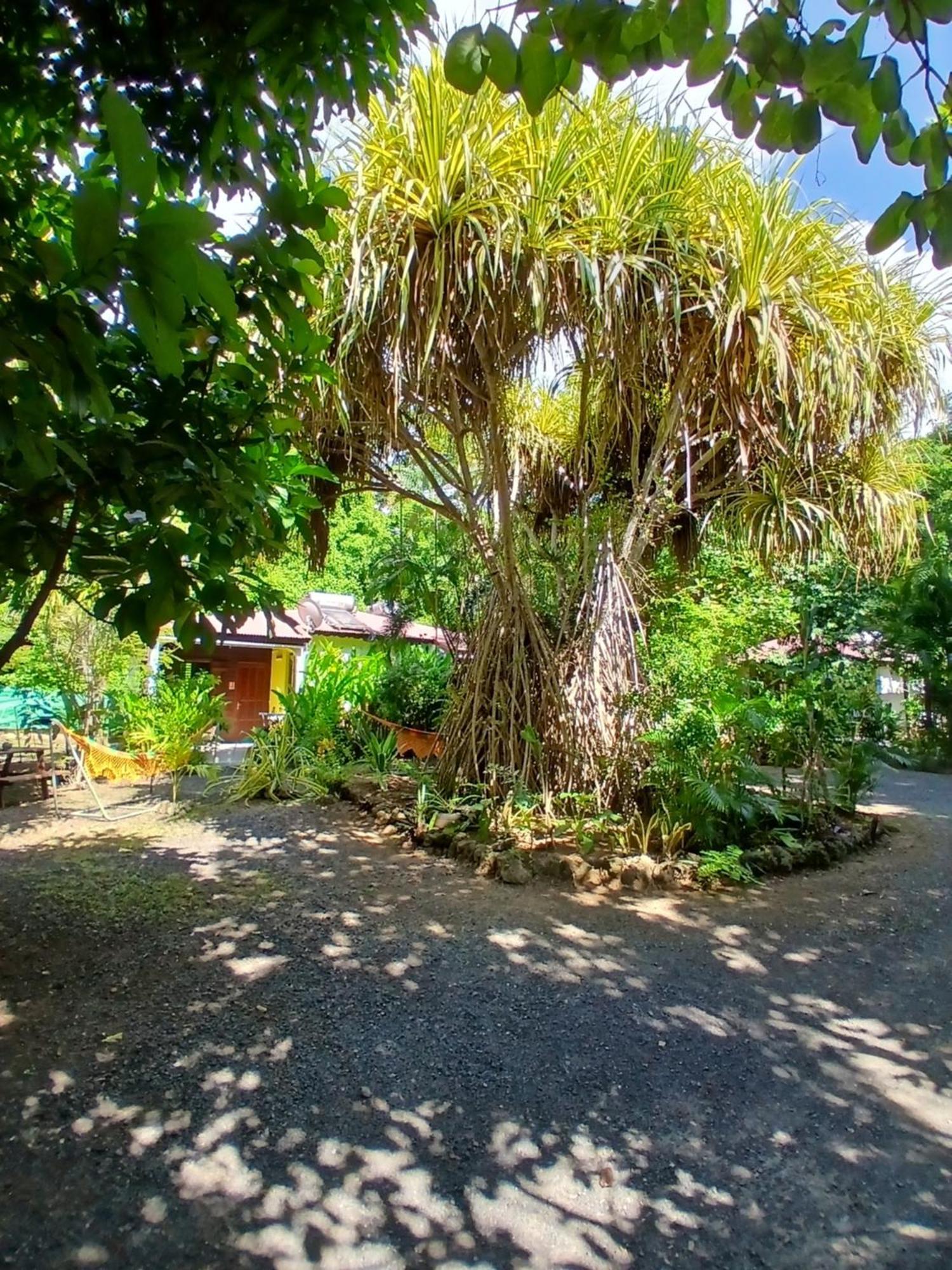 Residence Les Manguiers Pointe-Noire Zewnętrze zdjęcie