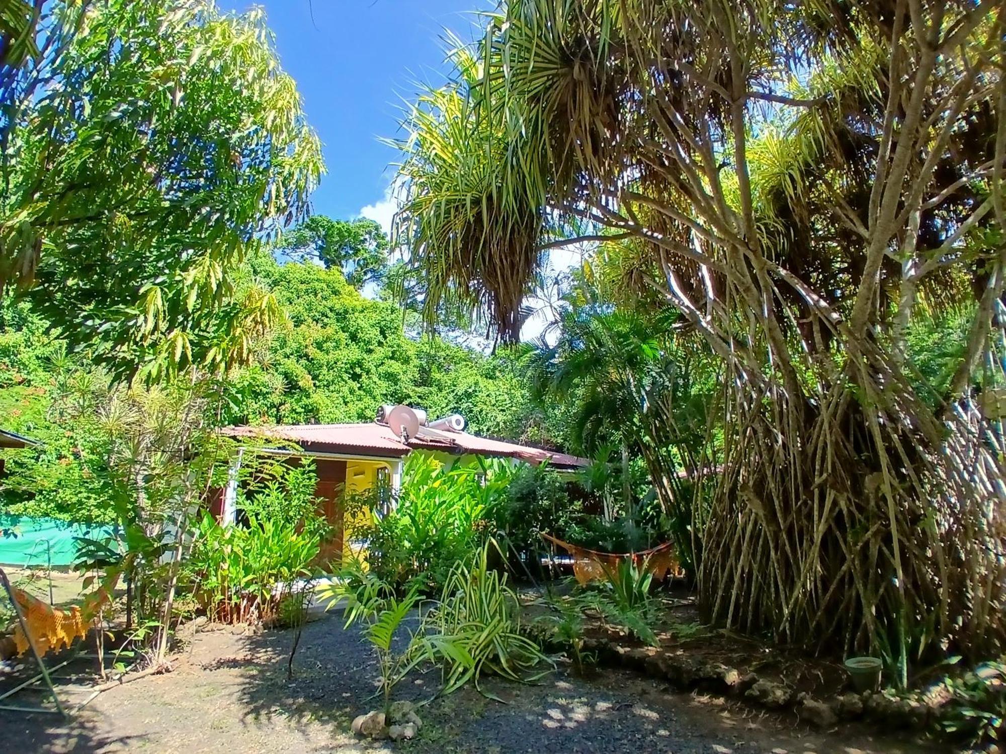 Residence Les Manguiers Pointe-Noire Zewnętrze zdjęcie