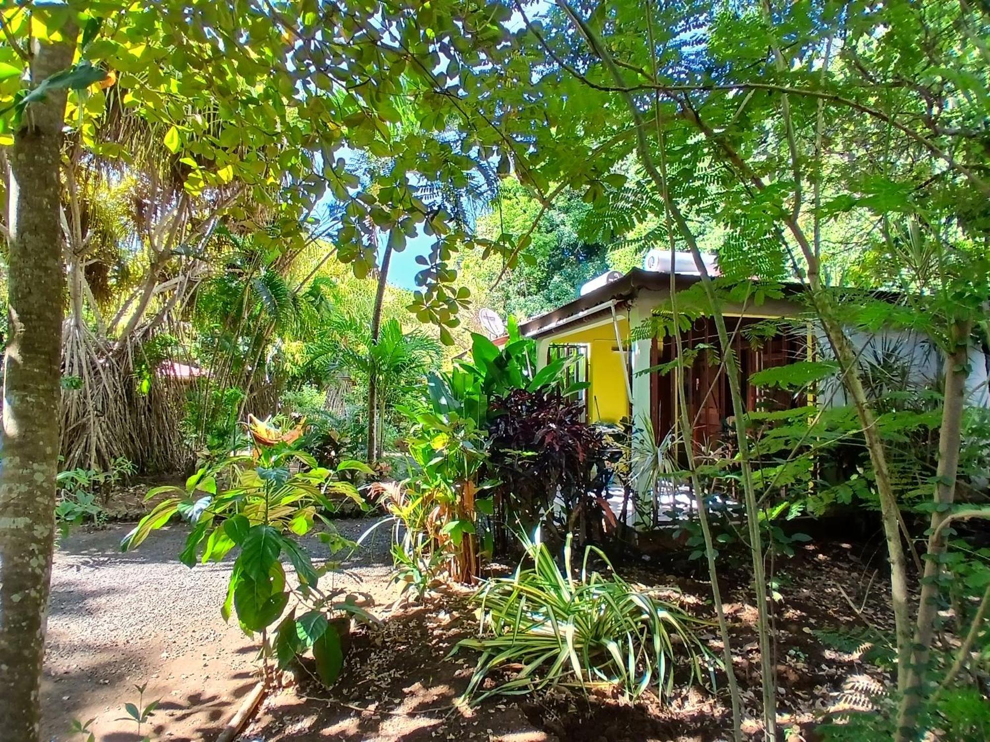 Residence Les Manguiers Pointe-Noire Zewnętrze zdjęcie